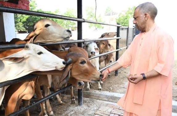 दुग्ध उत्पादन बढ़ाने पर 5 अगस्त को विकास भवन में विशेष गोष्ठी