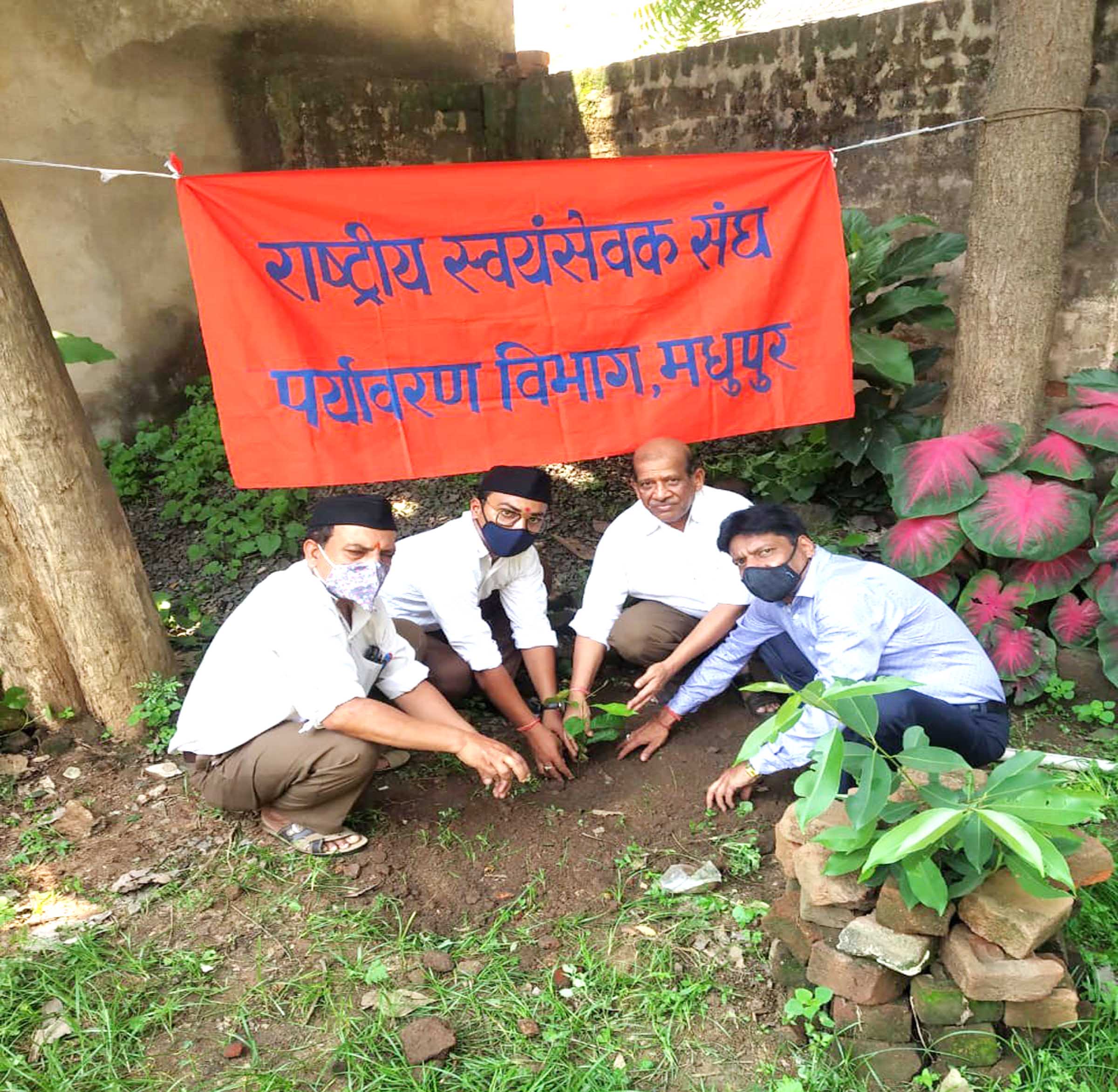 पर्यावरण दिवस के अवसर पर किया गया वृक्षारोपण