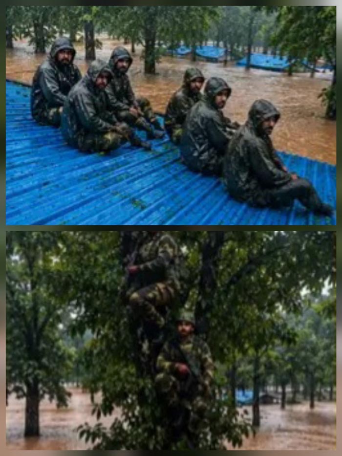 कुकुर नदी के उफान से BSF कैंप जलमग्न, जवानों ने टीन शेड और पेड़ों का लिया सहारा