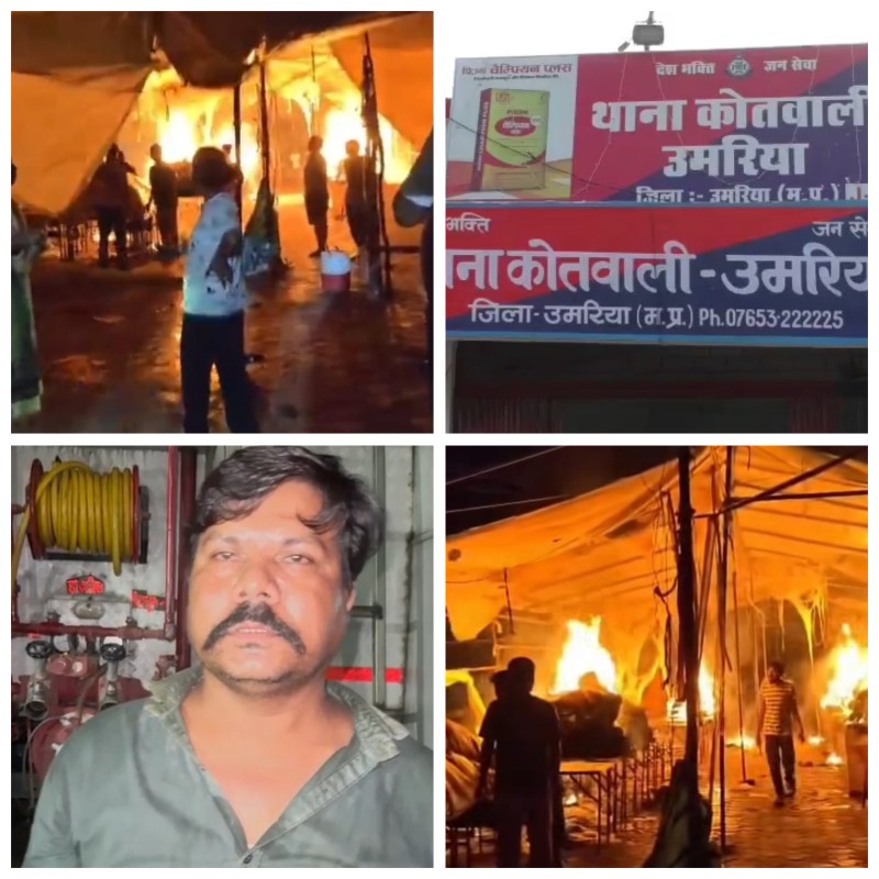 उमरिया में आग का तांडव, कलकत्ता बाजार की 12 से 15 दुकानें राख