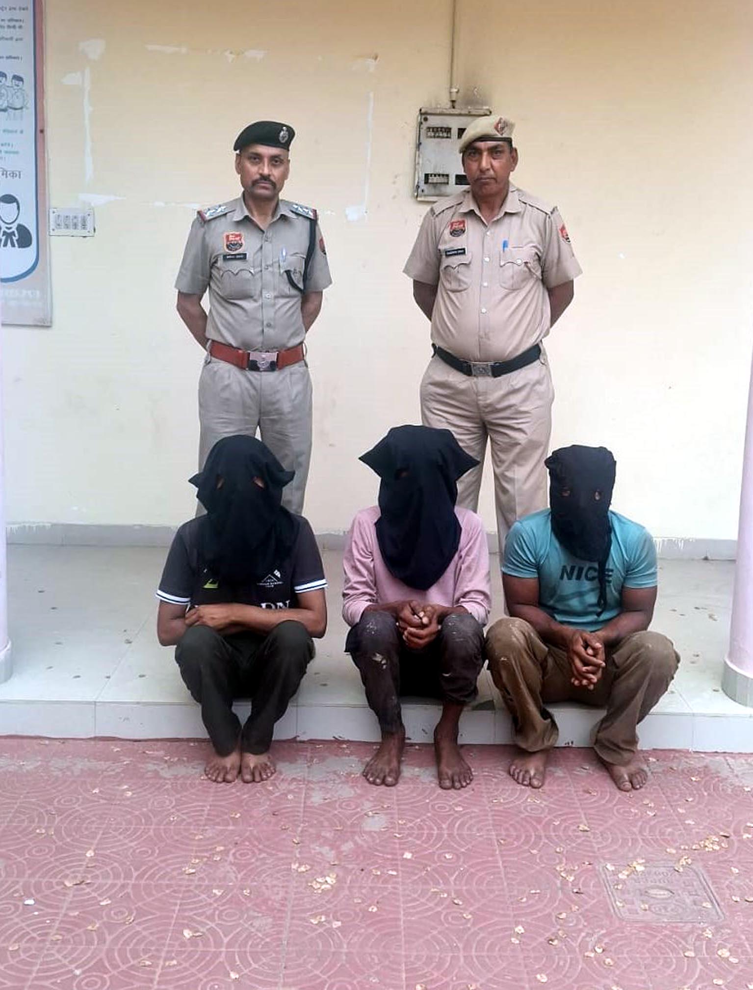 फतेहाबाद : कैंटर में ठूंस-ठूंस कर भरे थे 98 कटड़े, पुलिस ने तीन तस्करों को दबोचा