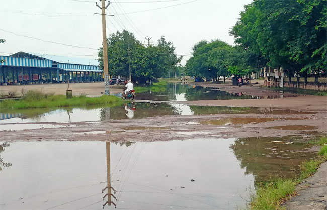 नारनौल में अटेली की नई अनाज मंडी का होगा जीर्णोद्धारः आरती सिंह राव
