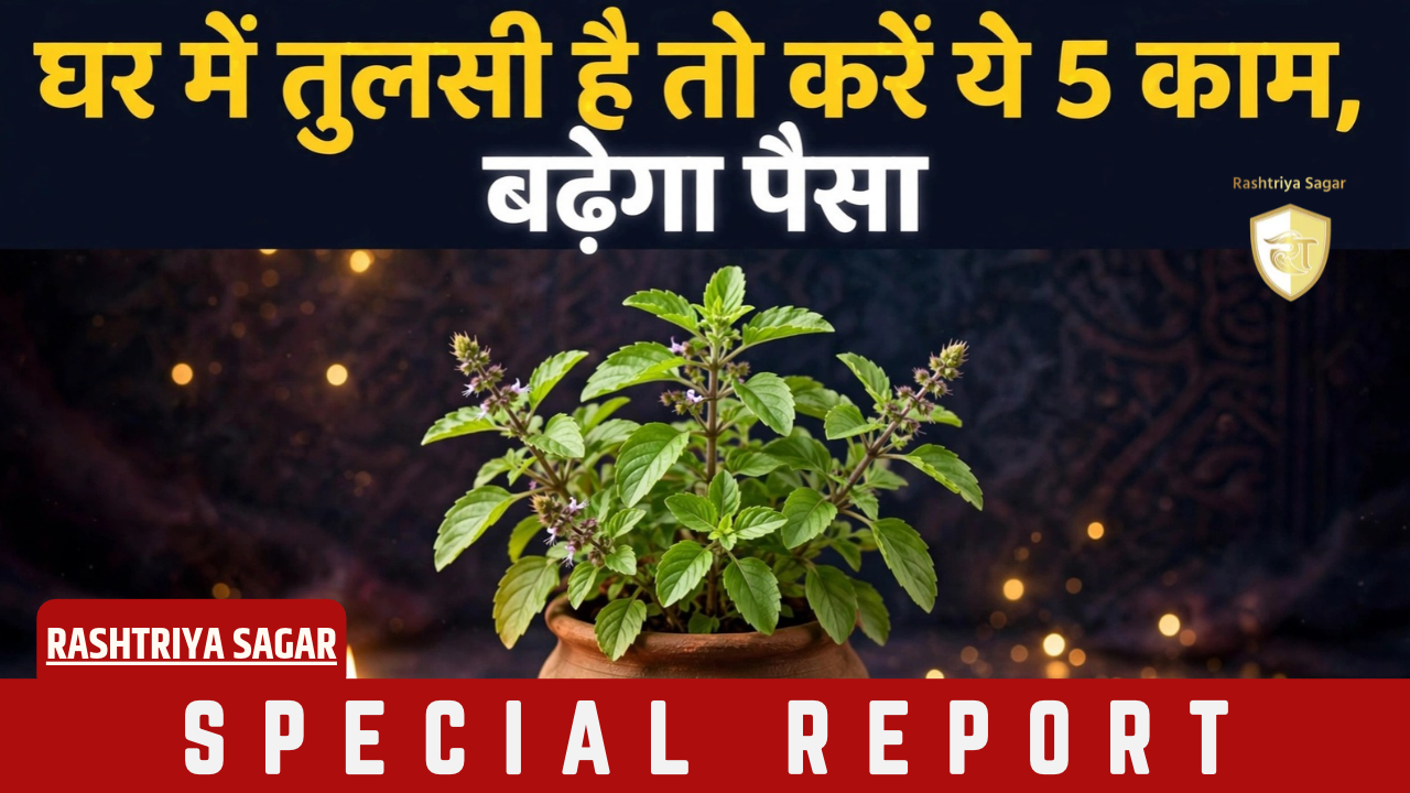 तुलसी है तो पैसों की टेंशन खत्म! रोज करें ये 5 उपाय, तिजोरी कभी खाली नहीं होगी